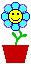 Bigflower